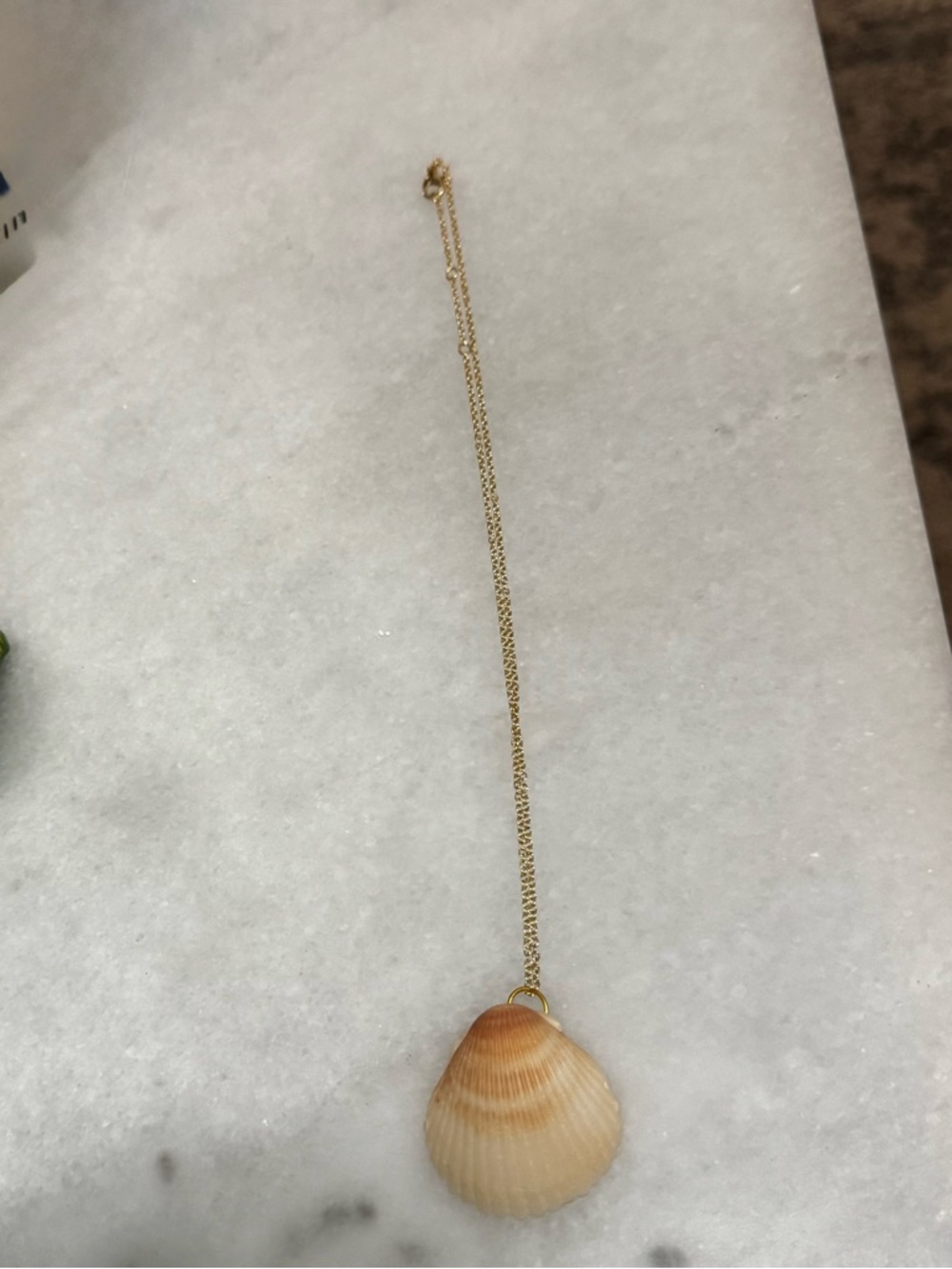 Gold Chain Necklace with Beige Shell Pendant